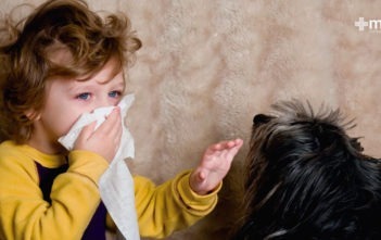 alergia a mascotas