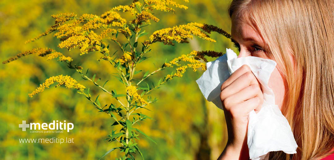 alergia al polen