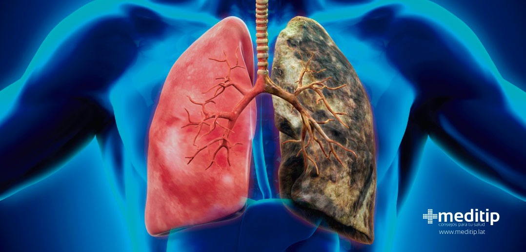 anatomy and physiology past papers health and social care