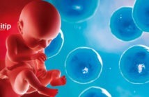 Mitos y verdades sobre las células madre