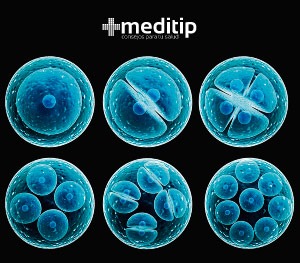 Regeneración de células madre