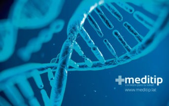 ADN o ácido desoxirribonucleico