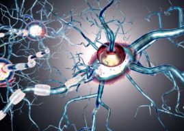 Esclerosis múltiple: causas, síntomas y tratamiento