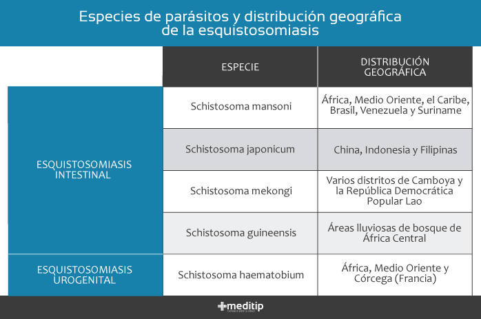 Esquistosomiasis: distribución geográfica