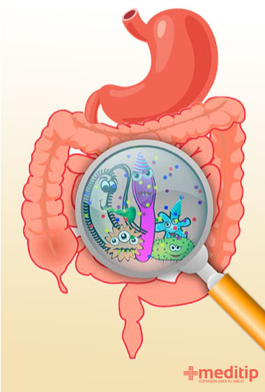 La diarrea aguda, a diferencia de la diarrea crónica, normalmente es causada por agentes infecciosos