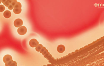 Vista microscópica de bacterias resistentes a los antibióticos