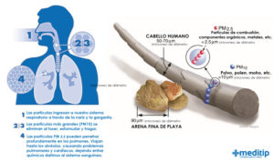El riesgo para la salud de las partículas en suspensión - Meditip