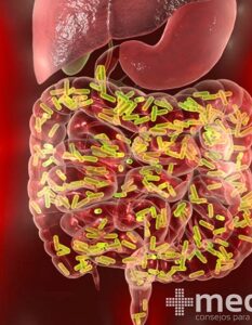 SIBO: sobrecrecimiento de bacterias en el intestino delgado
