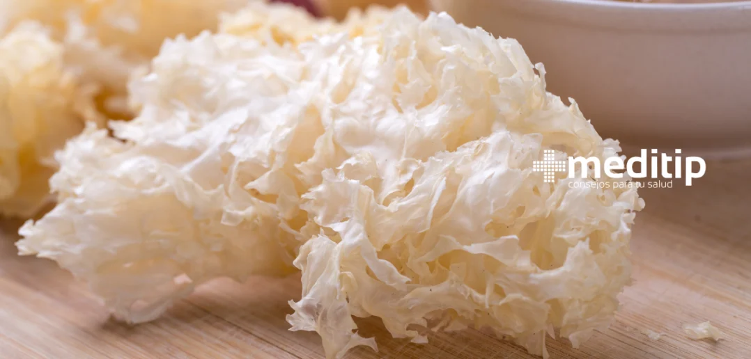 Beneficios del Sea Moss para la Salud Digestiva