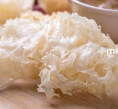 Beneficios del Sea Moss para la Salud Digestiva