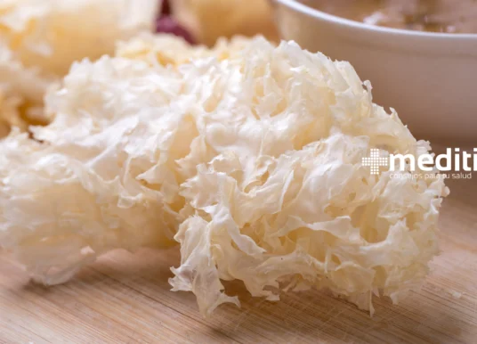 Beneficios del Sea Moss para la Salud Digestiva